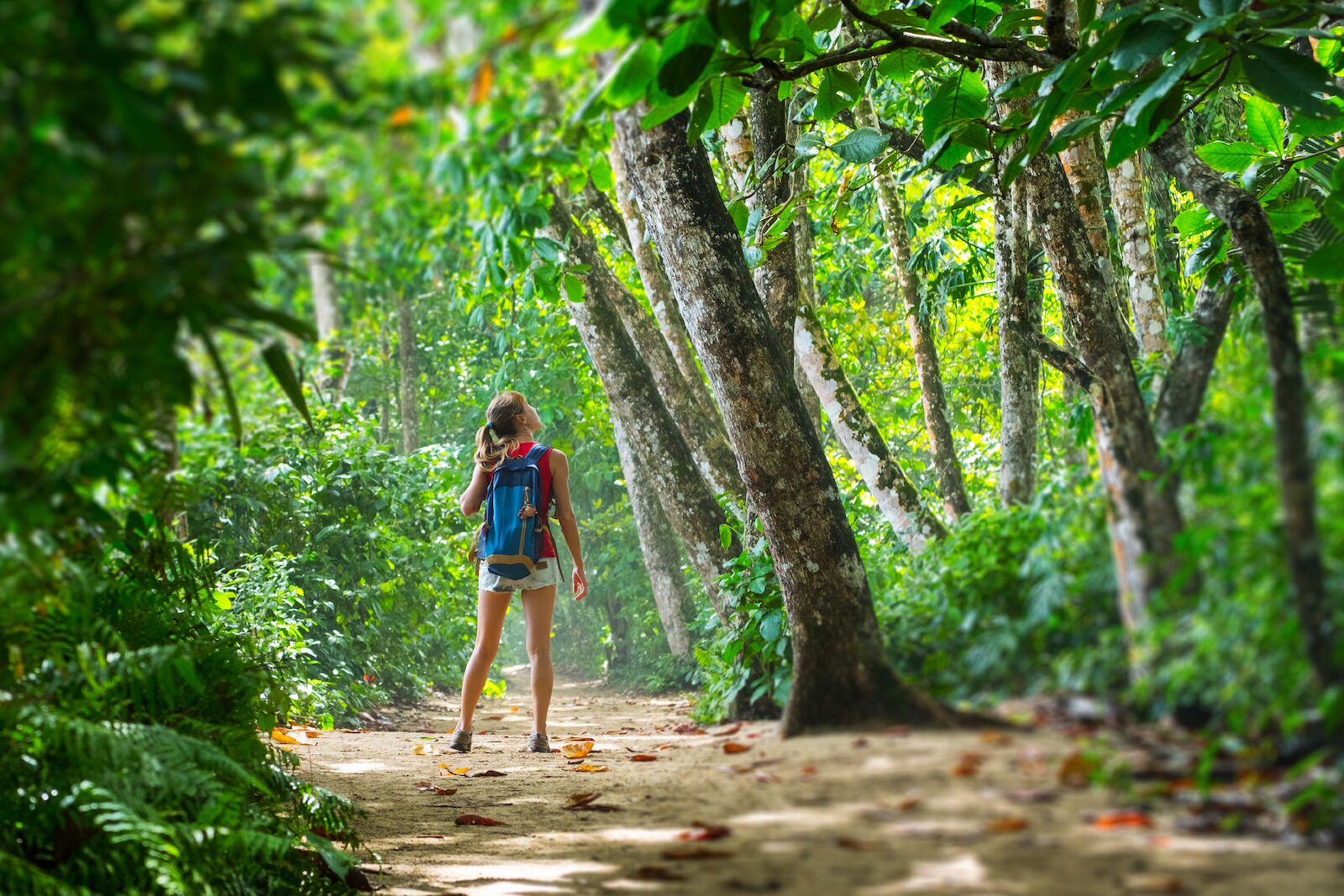 Costa Rica Just Made It Ridiculously Easy To Live There as a Digital Nomad